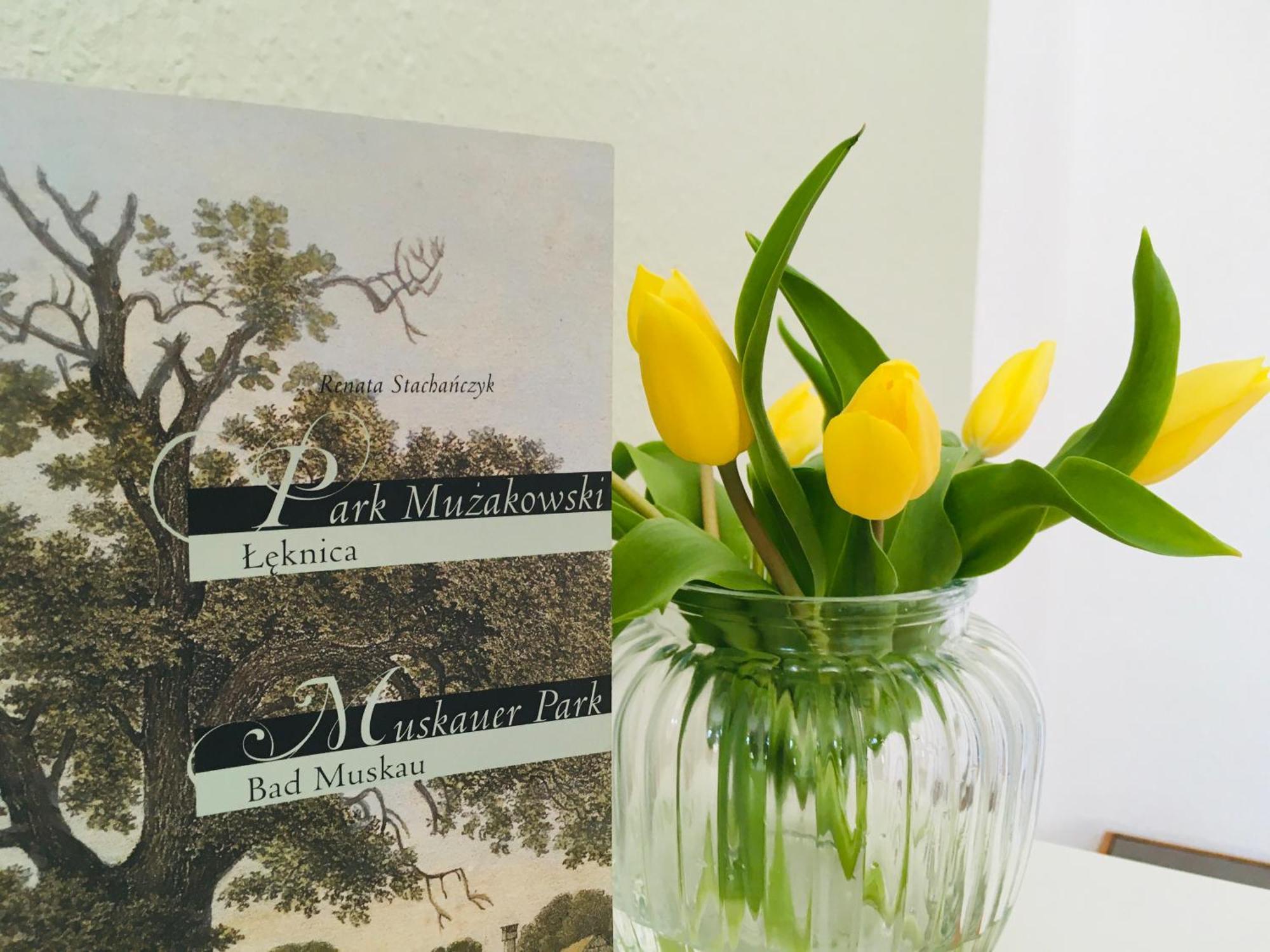 Ferienwohnungen "Hermann & Lucy" Bad Muskau Luaran gambar